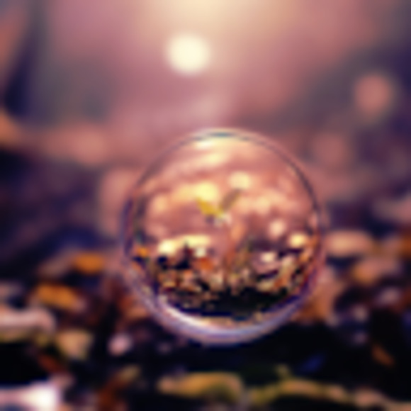 Meet your Posher, Jinsu - Picture 1 of 1